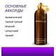 Montale Aoud Forest